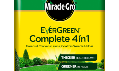 Transform Your Lawn with Miracle Gro 4 in 1 Today