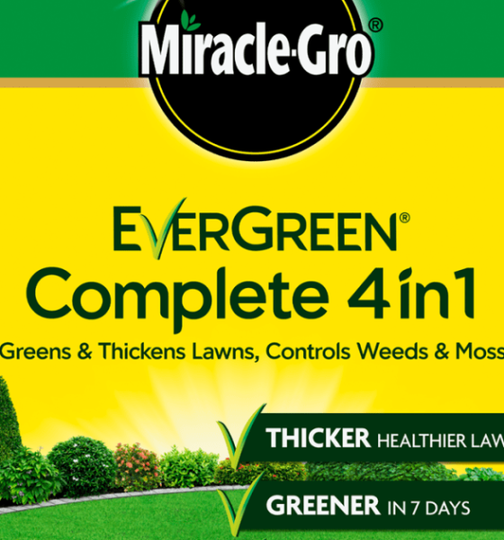 Transform Your Lawn with Miracle Gro 4 in 1 Today