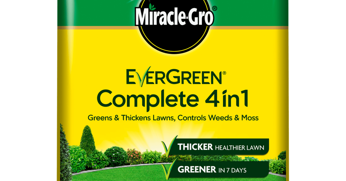 Transform Your Lawn with Miracle Gro 4 in 1 Today