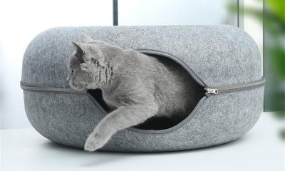 cat tunnel bed