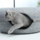 cat tunnel bed