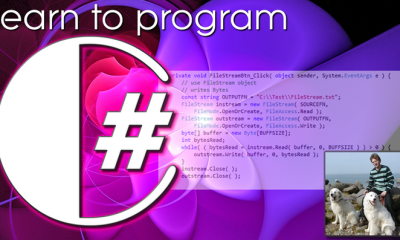 C# Assignment Help: Mastering the Art of Programming with C#