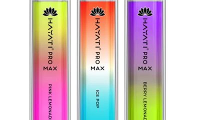 hayati pro max 4000 puffs box of 10