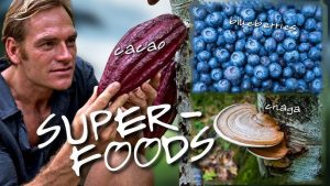 Plant-Based Superfoods That Boost Immunity