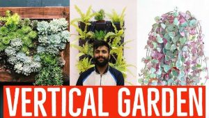 Urban Vertical Garden Designs