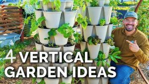 Urban Vertical Garden Designs