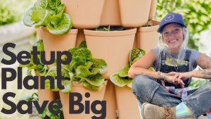 Urban Vertical Garden Designs