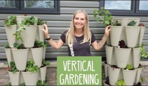 Urban Vertical Garden Designs