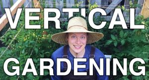 Vertical Gardening Techniques 2025