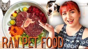 Raw Diet Plans for Healthy Pets