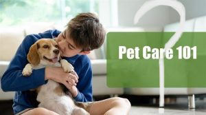 Pet Care 101