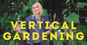 Vertical Gardening Techniques 2025