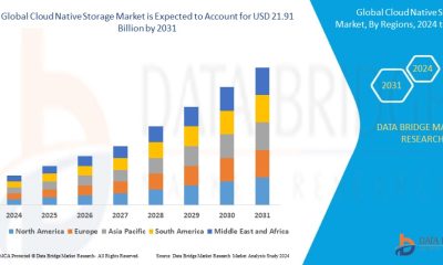 Cloud Native Storage Market