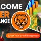 Online Cricket ID - Tiger Exchange VIP