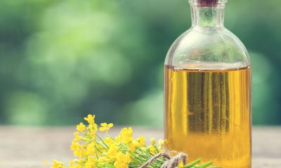canola oil supplier in Canada
