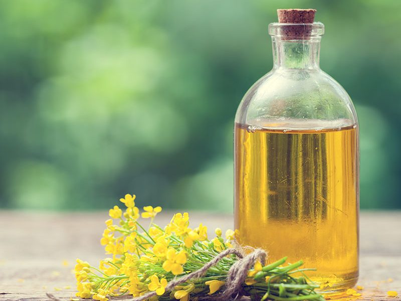 canola oil supplier in Canada
