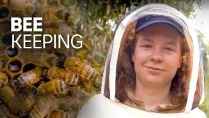 Urban Beekeeping