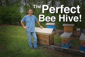 Urban Beekeeping