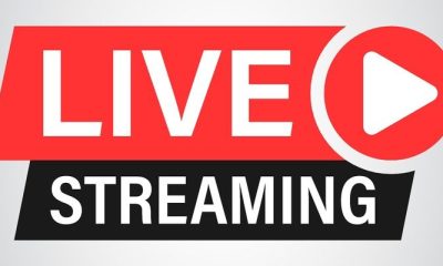 concert live stream platform