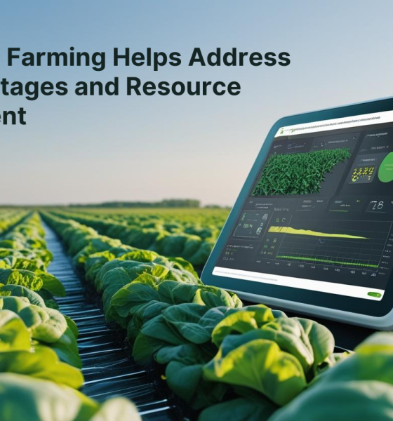 How Smart Farming Helps Address Labor Shortages and Resource Management