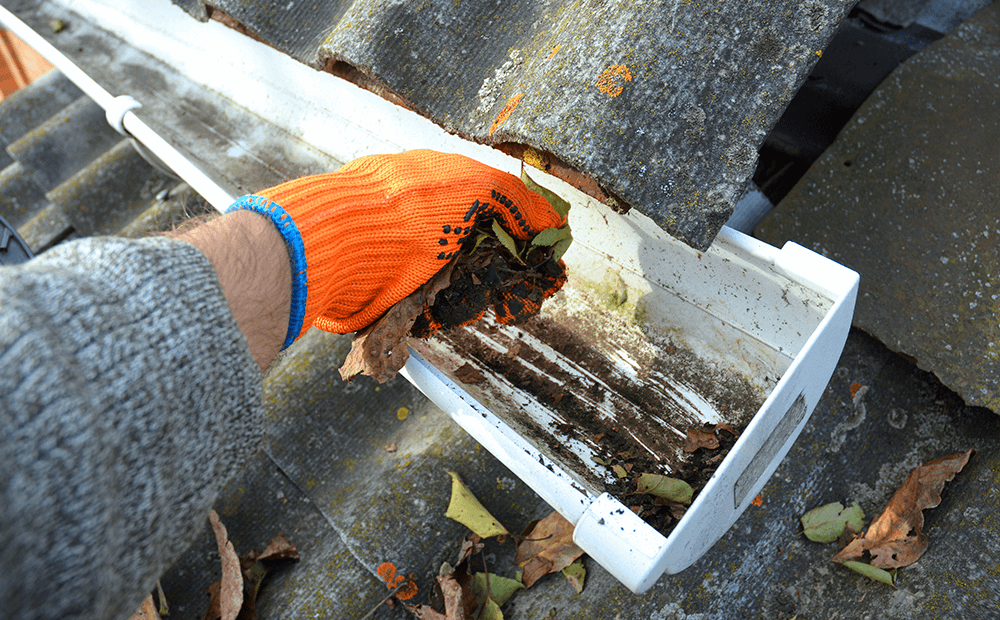 Gutter Cleaning in Burwood East — Keep Your Home Protected