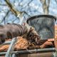 gutter cleaning Thomastown