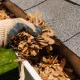 Gutter Cleaning in Geelong