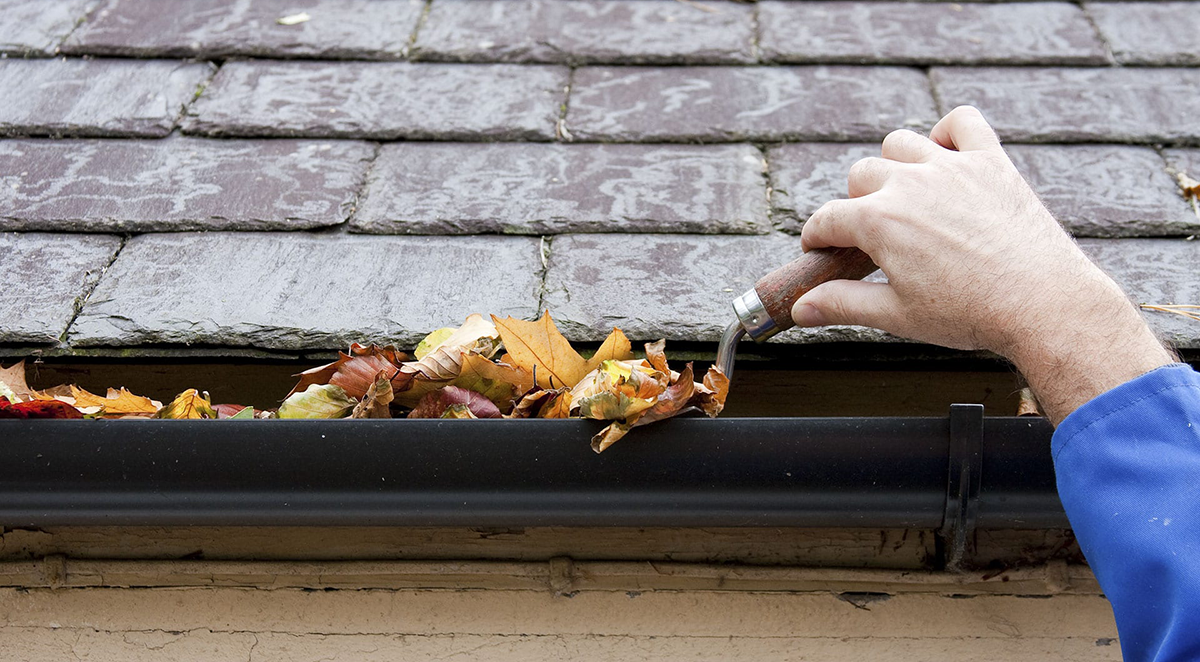 Reliable Gutter Cleaning in Caulfield — Protect Your Property