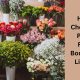 flower boutique limassol