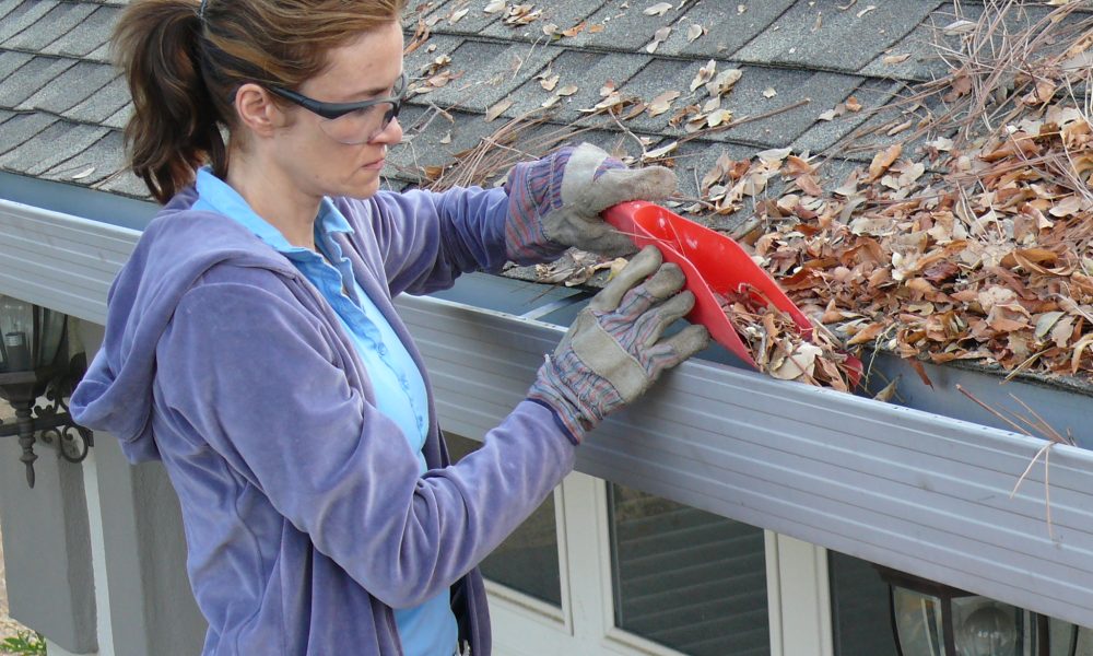 Gutter Cleaning in Prahran