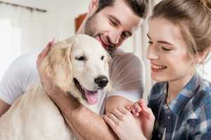 Pets Lover