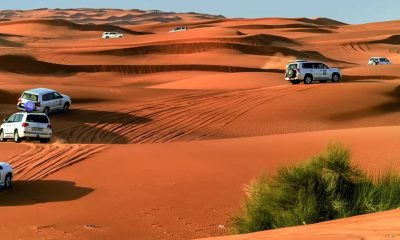 Morning Desert Safari
