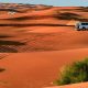 Morning Desert Safari