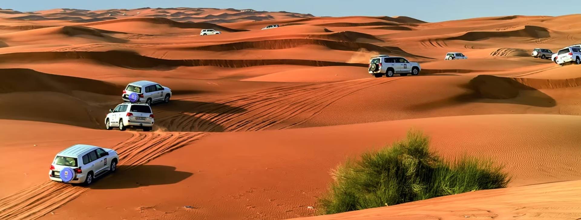 Morning Desert Safari