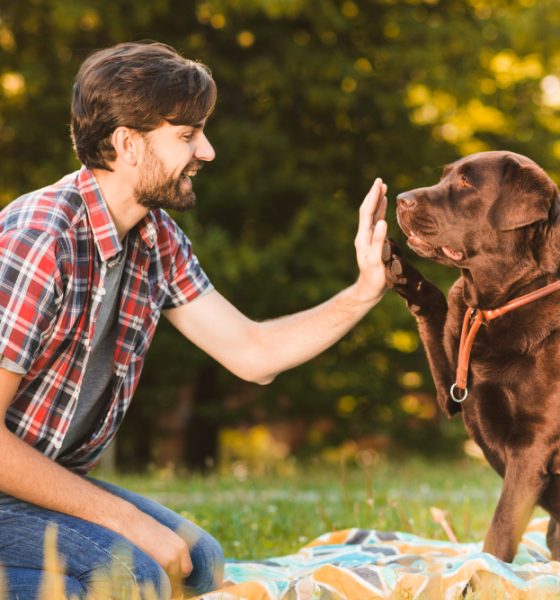Puppy Owners