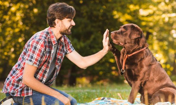 Puppy Owners