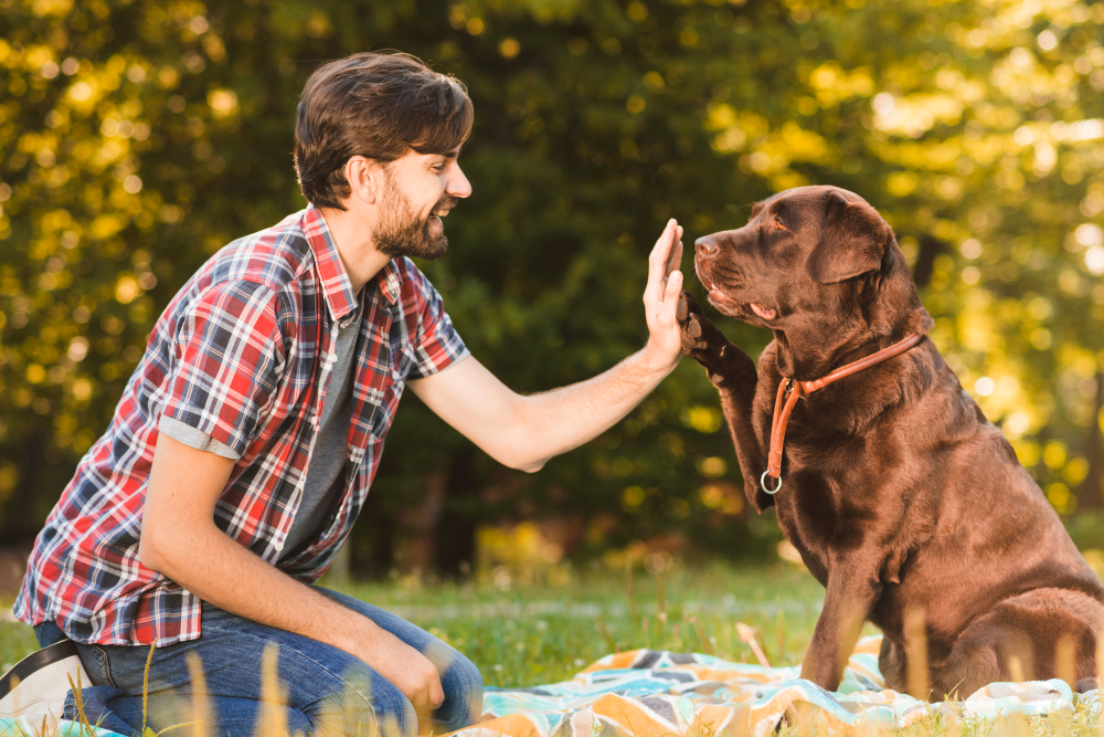 Puppy Owners
