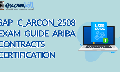 A person studying a computer with a graph on the screen, representing the preparation for the SAP C_ARCON_2508 certification exam.