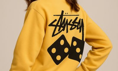 stussy hoodie