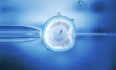 Frozen vs Fresh Embryo Transfer