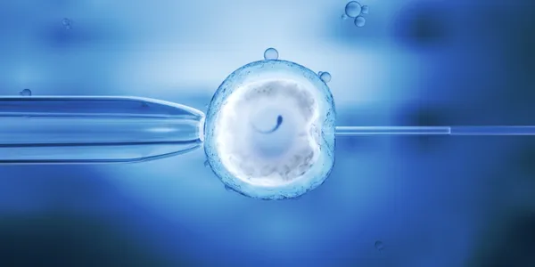 Frozen vs Fresh Embryo Transfer