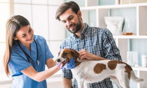 Mistakes Puppy Owners Make and How to Avoid Them