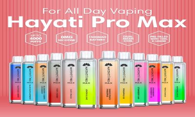 Hayati Pro Max 4000 Puffs