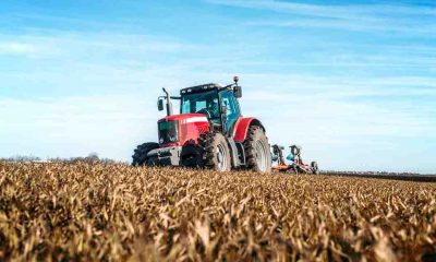 Agriculture Sector Highlights – October 2025