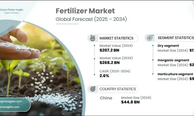 Fertilizer Market Share, Size, Growth, and Forecast 2025-2033