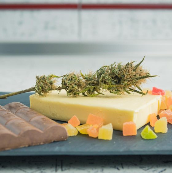 Edible Gummies in Canada to Buy