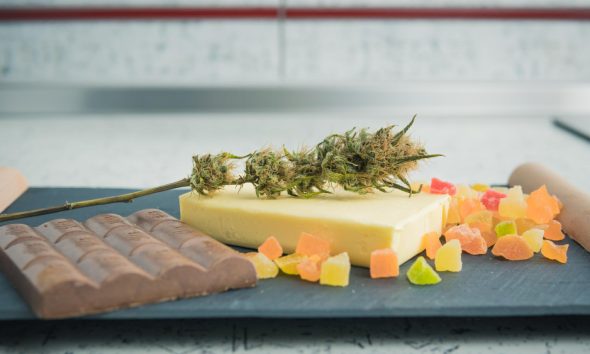 Edible Gummies in Canada to Buy