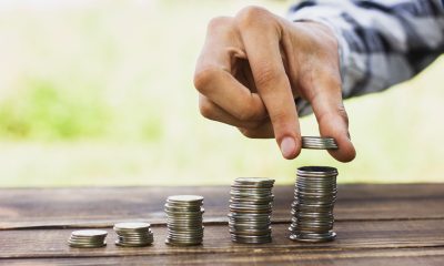 How The Top Mutual Fund Software Enables MFDs to Offer Fixed Income Investments?