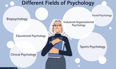 4 Career Fields after Completing Psychology