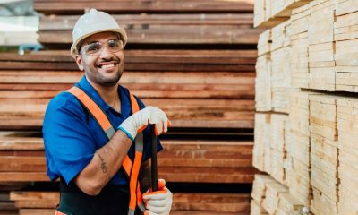 Lumber Skills Shaping High-Precision Material Planning